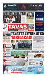 TAVAS BARIŞ