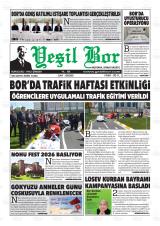 YEŞİL BOR