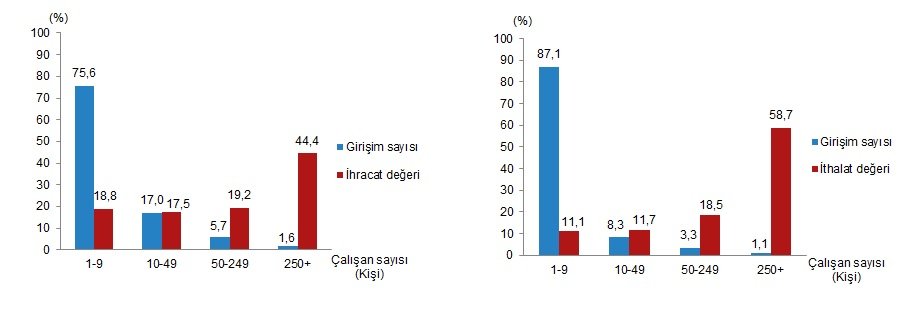 Dış Ticaret İstatistikleri 2024: Girişim Özelliklerine Göre Analitik Görünüm ve Stratejik Yönlendirme