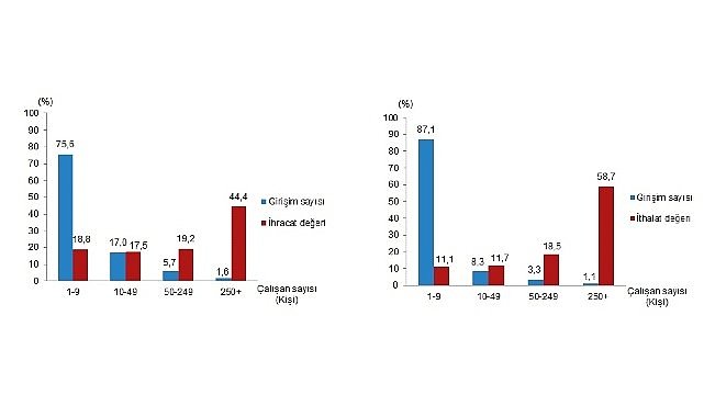 Dış Ticaret İstatistikleri 2024: Girişim Özelliklerine Göre Analitik Görünüm ve Stratejik Yönlendirme