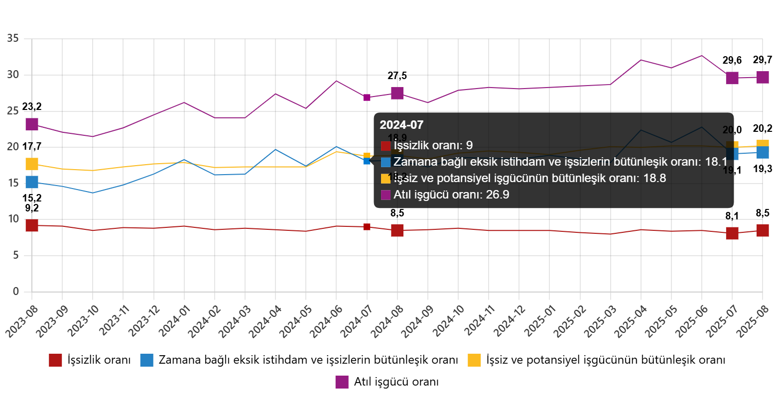 İşgücü İstatistikleri: Ağustos 2025 Verileriyle Kurumsal Bakış ve Stratejik Değerlendirme