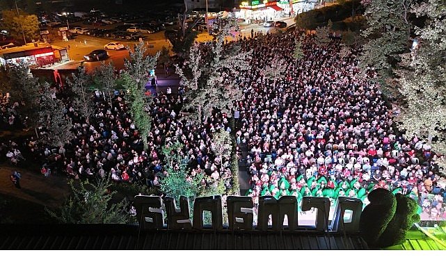 Ormanın Gecesinde Sinemanın Işığı: Kitap Fuarının Ruhunu Keşfet