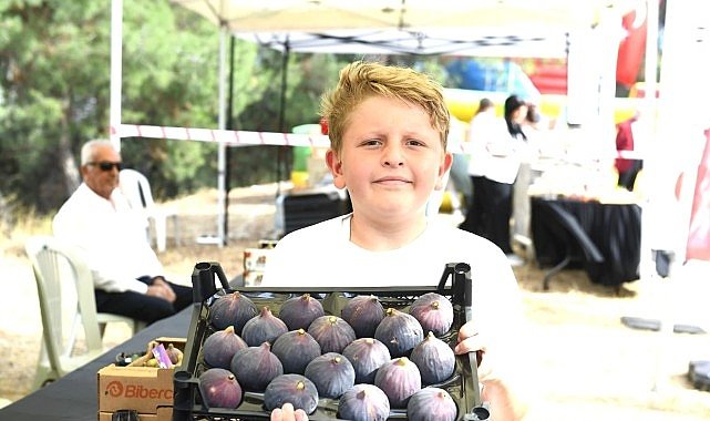 Osmangazi Belediyesi’nden dünyaca ünlü siyah incire festival