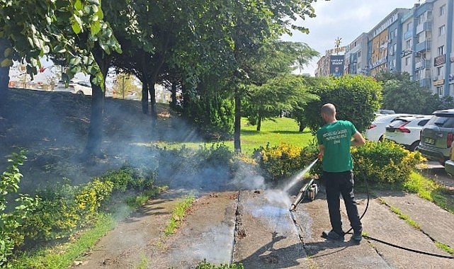 Vektörle Mücadelede Güçlü Destek: Stratejiler ve Kurumsal Adımlar