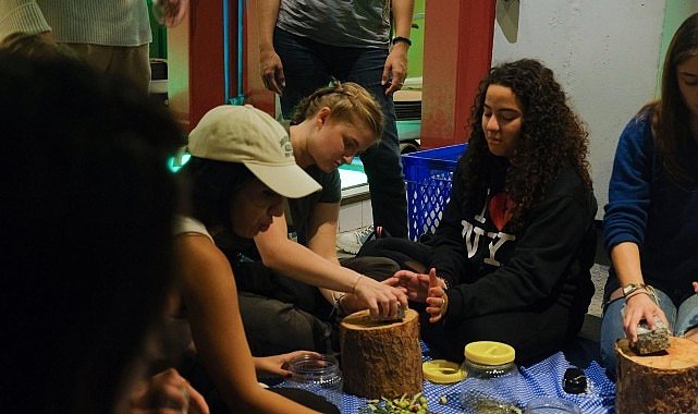 Ayvalık’ta Uluslararası Gençlik Projesi Kapsamında Zeytin Kültürü Deneyimi