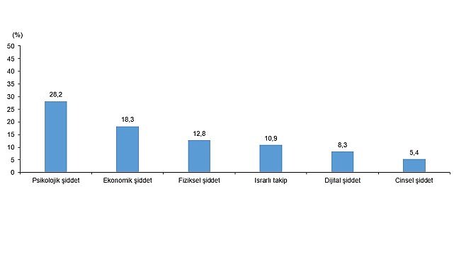 Türkiye Kadına Yönelik Şiddet Araştırması, 2024