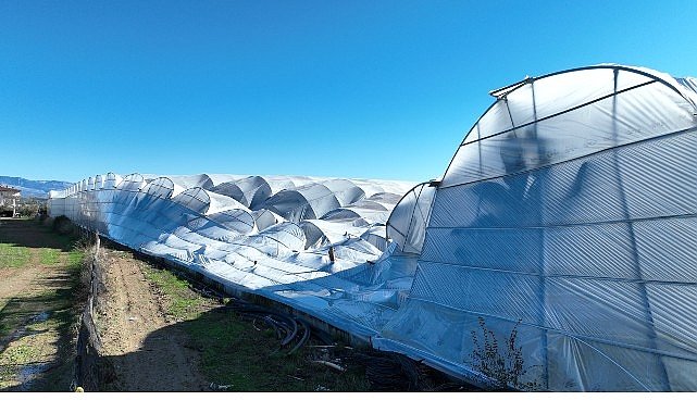 Büyükşehir Belediyesi seraları zarar gören çiftçinin yanında