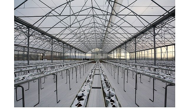 Termal Sera İle Verimli Üretim Başlıyor