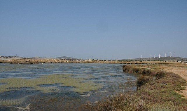 Egeli Akademisyen AB Destekli “HALO-FORCE” Projesinde yer aldı