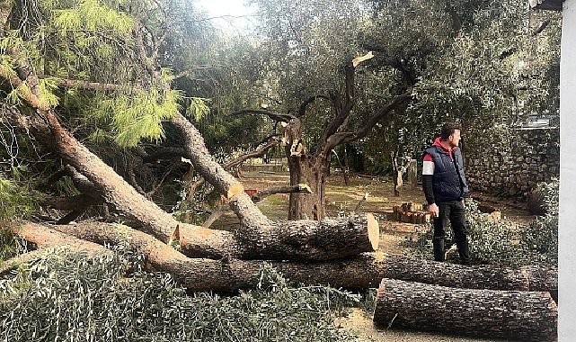 Şiddetli Fırtına Nedeniyle Yaşanan Olumsuz Durumlara Milas Belediyesi Anında Müdahale Etti