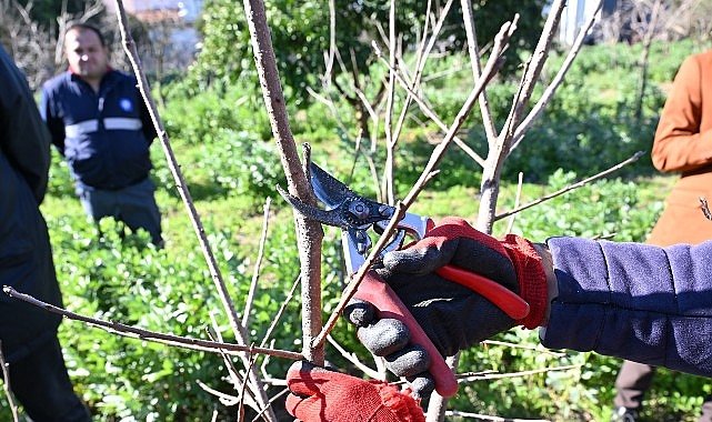 ATASEM’de uygulamalı ağaç budama eğitimi