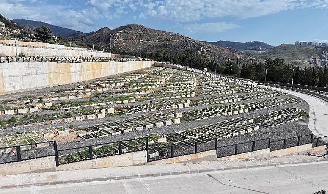 Büyükşehir 70 futbol sahası büyüklüğünde alan açtı