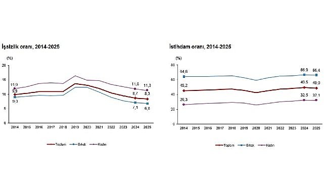 İşgücü İstatistikleri, 2025