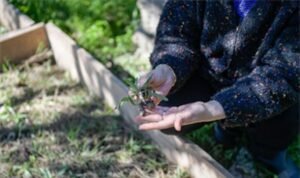Meslek Fabrikası kursiyeri üretici oldu