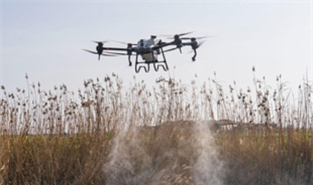 Sivrisinek ve zararlılara karşı İzmir modeli