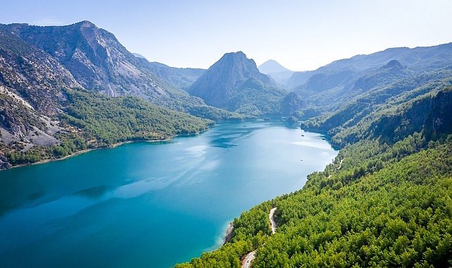 Su ve Orman: Doğanın, Refahın ve Eşitliğin Temel Taşları