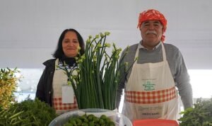 15. Uluslararası Alaçatı Ot Festivali’nde stantlar açıldı, yarışmalar ve etkinlikler hafta sonu boyunca sürüyor
