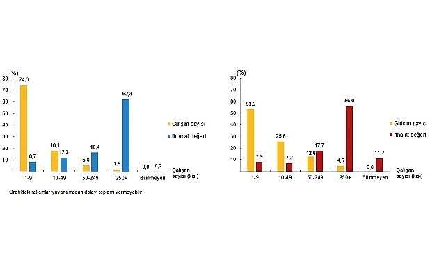 Girişim Özelliklerine Göre Uluslararası Hizmet Ticareti İstatistikleri, 2024