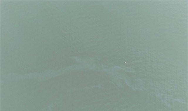 İzmir Körfezi’nde kirlilik alarmı: Aynı tehdit 11. kez görüldü