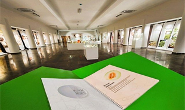 İzmir Mutfak Müzesi ile yemek kültürüne yolculuk