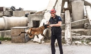 Momo enkaz için eğitiliyor