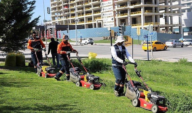 Çankaya Parklarında Çim Biçme Çalışması