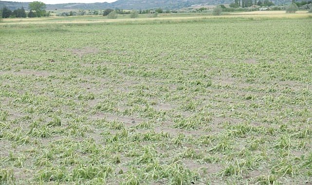 Kahramankazan’da Sağanak ve Dolu Hayatı Felç Etti!