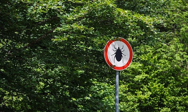 Kene Isırığında Erken Müdahale Hayat Kurtarıyor